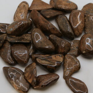 Bronzite