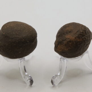 Moqui Balls