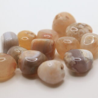 Agate fleur