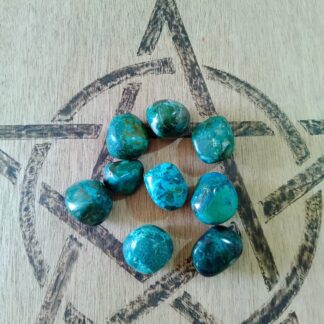 Chrysocolle