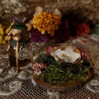 Agate Enchantée "L'Antre de la Terre" – Décoration Green Witch & Spiritualité