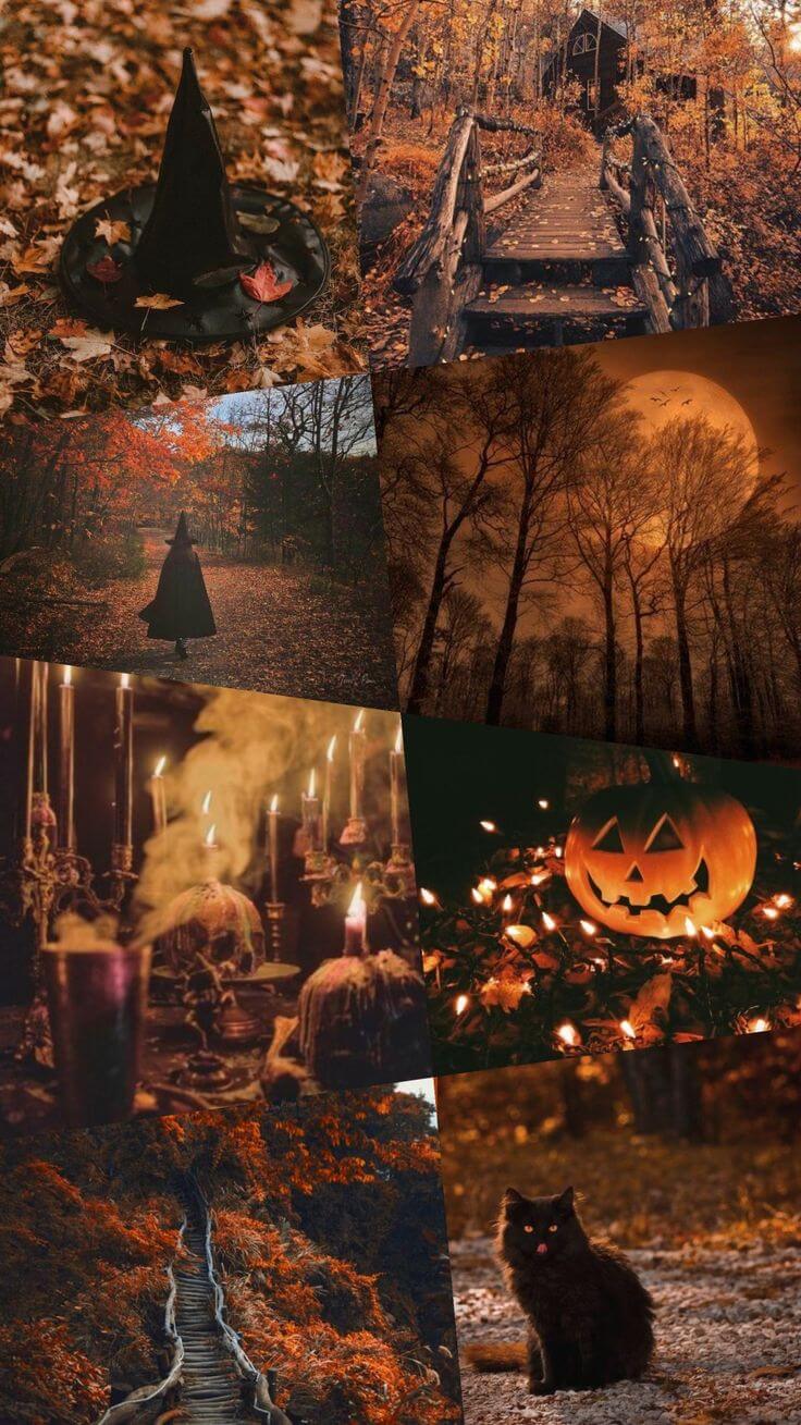 Samhain, la nuit où le voile s’amincit : 12 rituels de sorcière pour honorer vos ancêtres et accueillir la nouvelle année