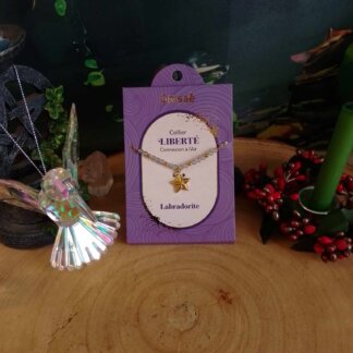 Collier Liberté, connexion à l'Air