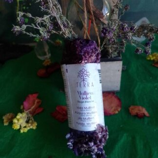 Bâton sauge blanche et molène de phénicie