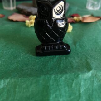 Hibou obsidienne noire