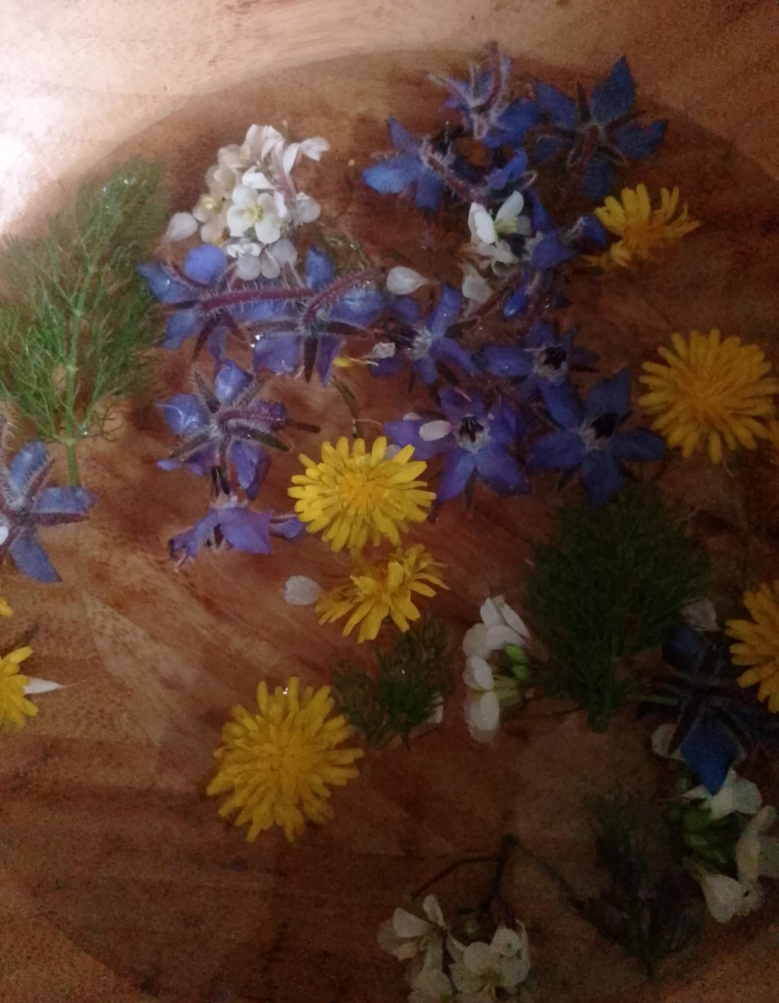 Bienvenue Mars — Équinoxe de Printemps & Sabbat d’Ostara