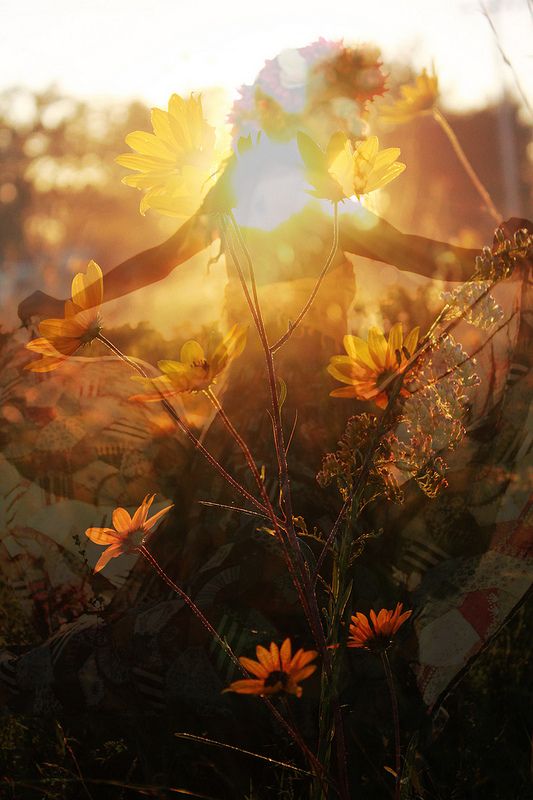 Bienvenue Juin : Litha, le Solstice d’Été et sa Magie Solaire