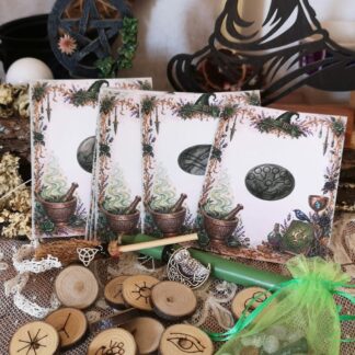 Les Runes de Sorcière : le coffret des 13 runes du prunier, pour lire l'invisible