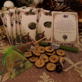Les Runes de Sorcière  : le coffret des 13 runes du prunier, pour lire l'invisible